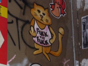 Cat wearing singlet which reads simply, "Fuck the fuck"